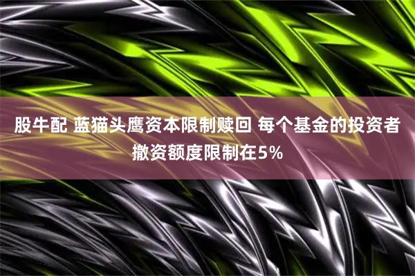 股牛配 蓝猫头鹰资本限制赎回 每个基金的投资者撤资额度限制在5%