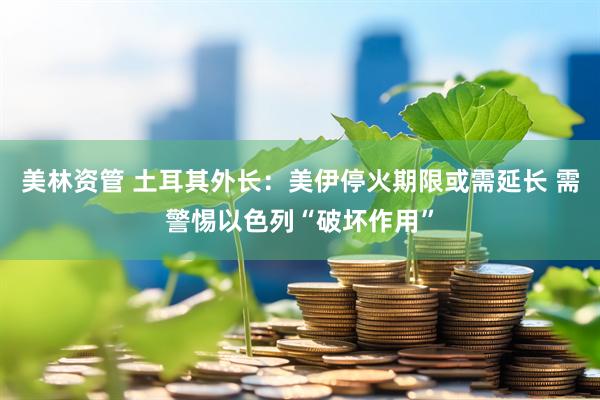 美林资管 土耳其外长：美伊停火期限或需延长 需警惕以色列“破坏作用”