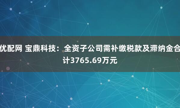 优配网 宝鼎科技：全资子公司需补缴税款及滞纳金合计3765.69万元