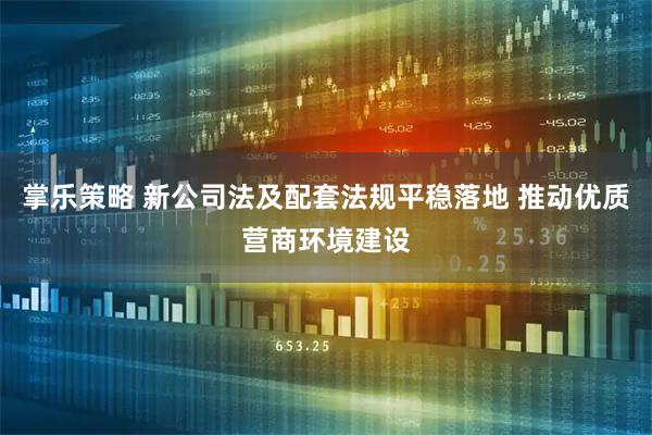 掌乐策略 新公司法及配套法规平稳落地 推动优质营商环境建设